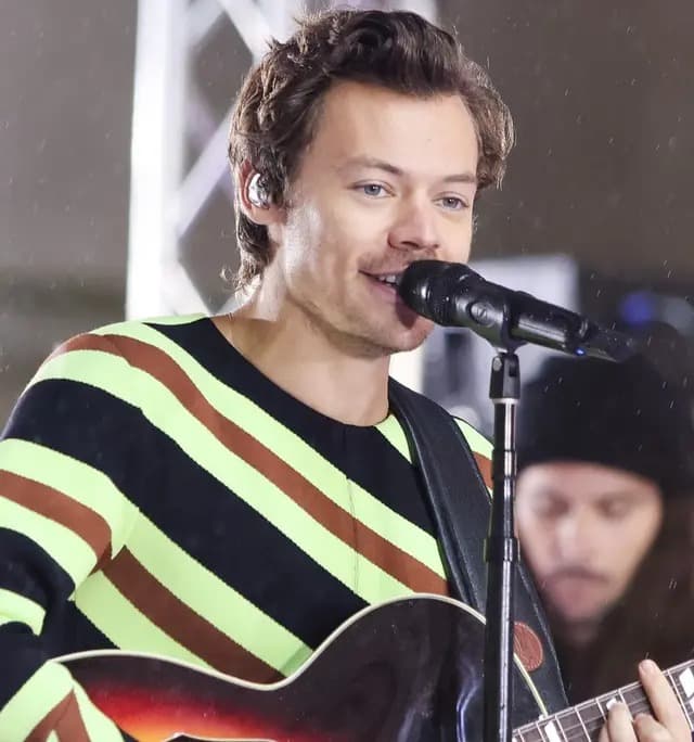 תמונה של האומן הארי סטיילס